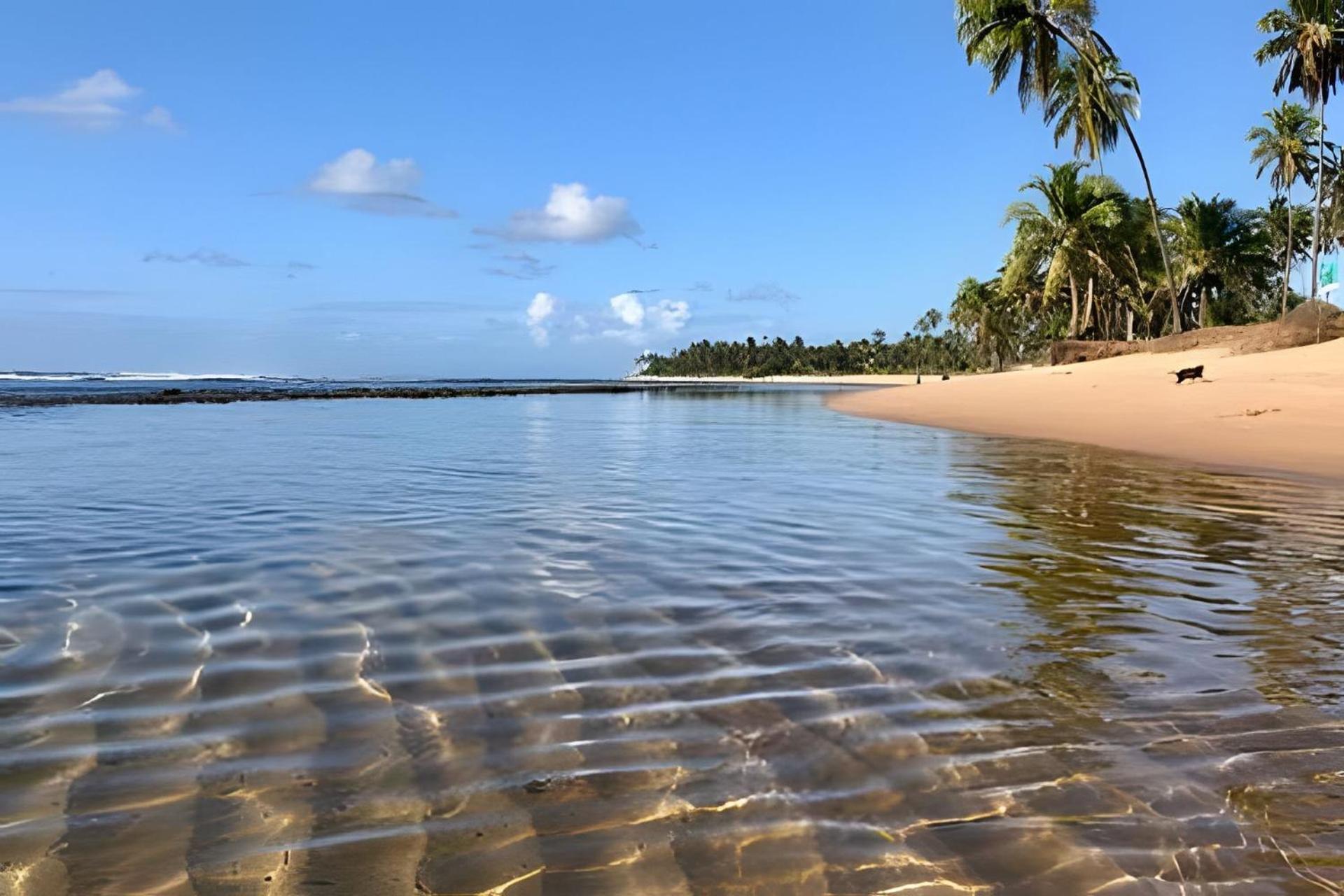 Praia Do Forte Apartamento Fantastico Kültér fotó